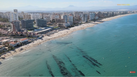 Schönes Alicante